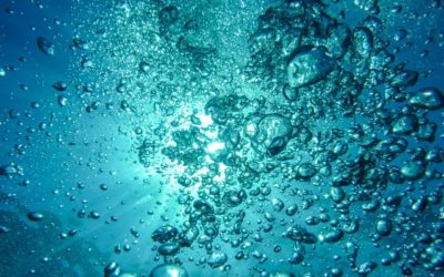 For the water, I accuse